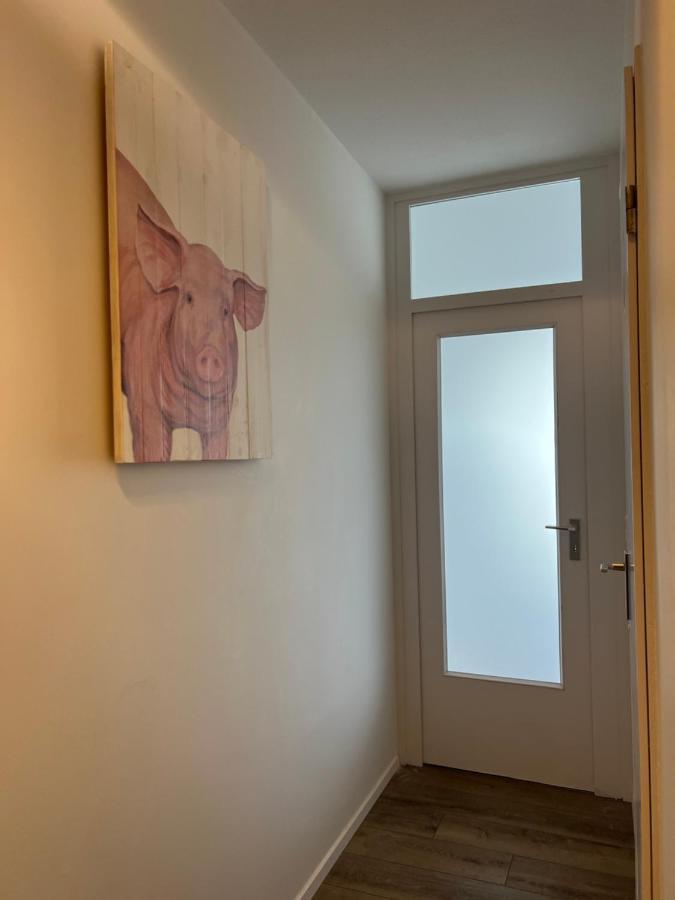 Inselblick 2 Apartman Schleswig Kültér fotó